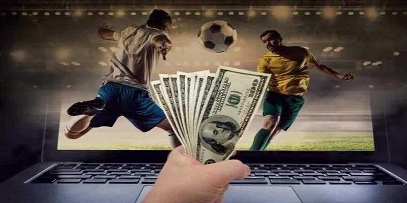 Tránh cá cược theo cảm tính